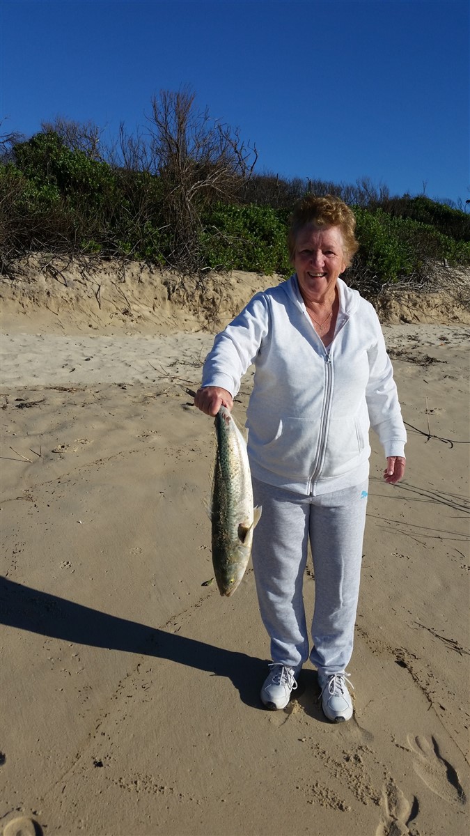 Salmon -  Jenny Haydon  - Crescent Head Beach NSW July 2021.jpg